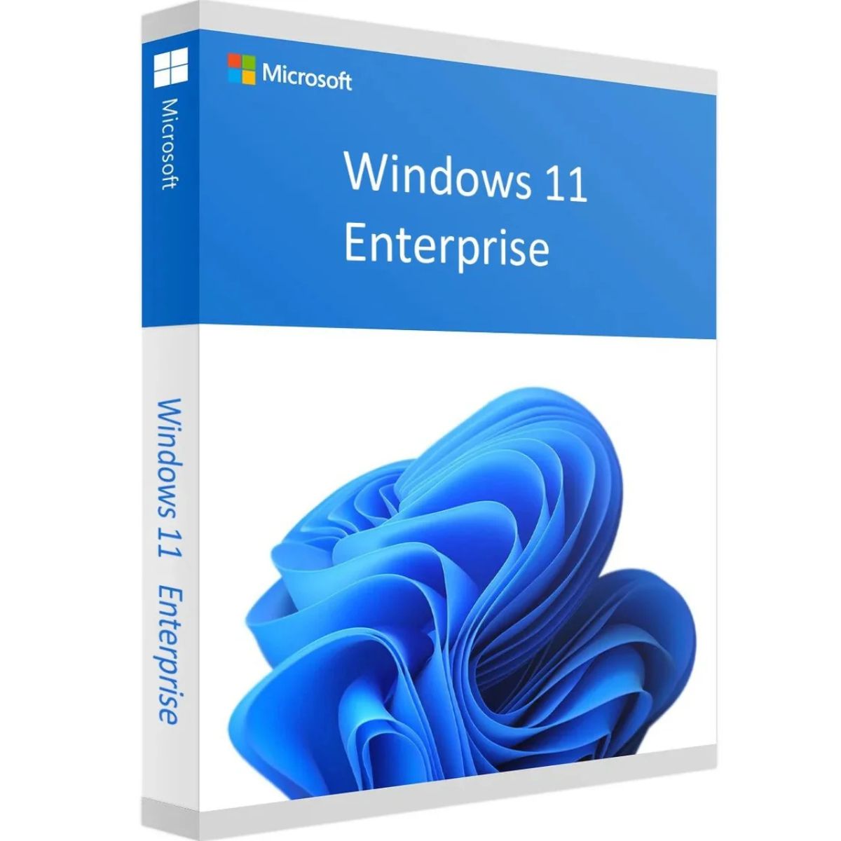 Windows 11 Enterprise